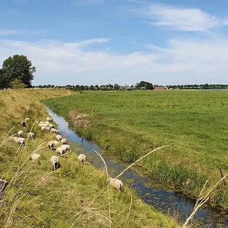 Casa de Férias Rekerlanden 274